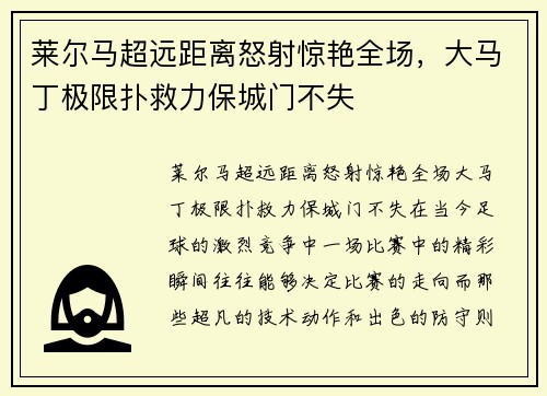 莱尔马超远距离怒射惊艳全场，大马丁极限扑救力保城门不失